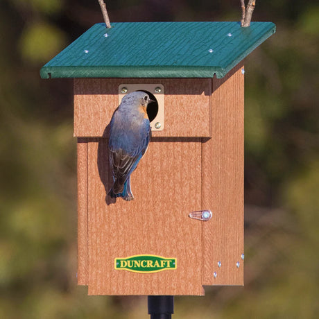 Duncraft Bluebird Landing View House & Pole with a perched bluebird, featuring a birdhouse with predator guard and ventilation, ideal for bird watching.