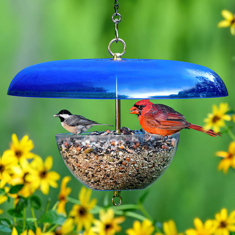 Duncraft Cardinal Feeder with Blue Baffle, featuring a red cardinal perched on a clearview bowl, designed for easy bird feeding and viewing.