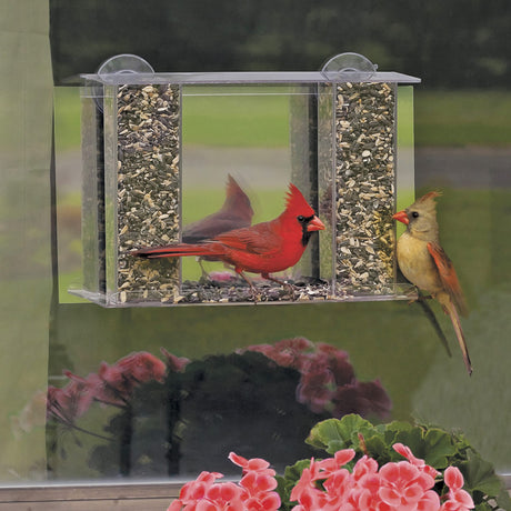 Window Bird Feeders